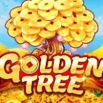 icon-vwin体育体育